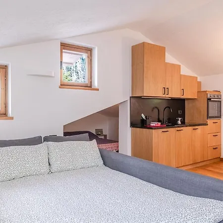 Nest-home In Front To Mont Blanc *