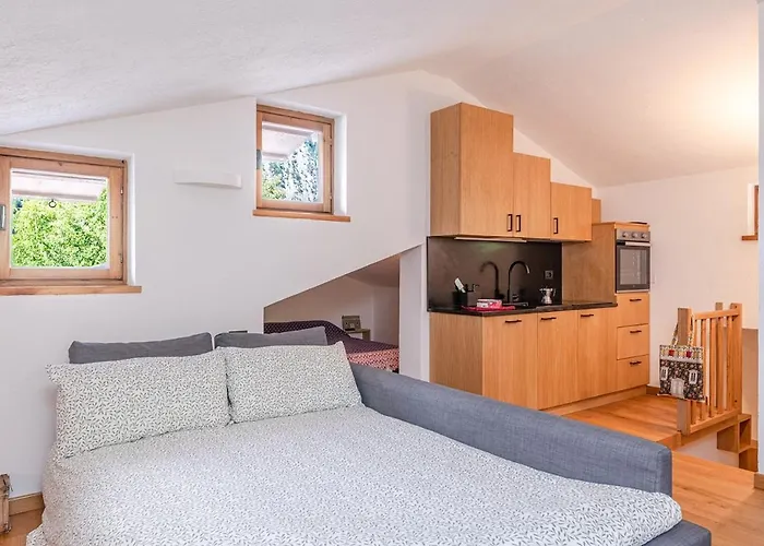 Nest-home In Front To Mont Blanc *