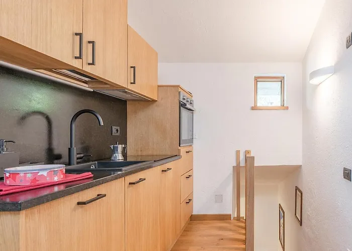 Nest-home In Front To Mont Blanc