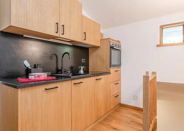 Nest-home In Front To Mont Blanc *