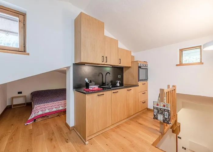 Nest-home In Front To Mont Blanc